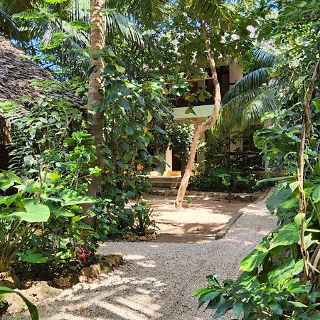 Atii Garden Bungalows Nungwi Exterior photo