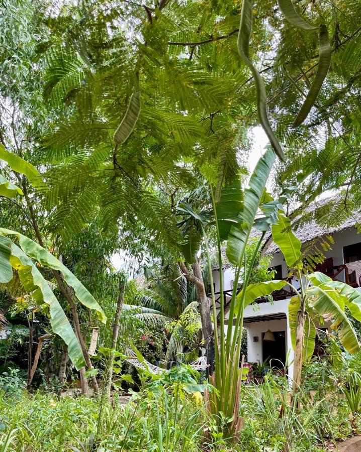 Atii Garden Bungalows Nungwi Exterior photo