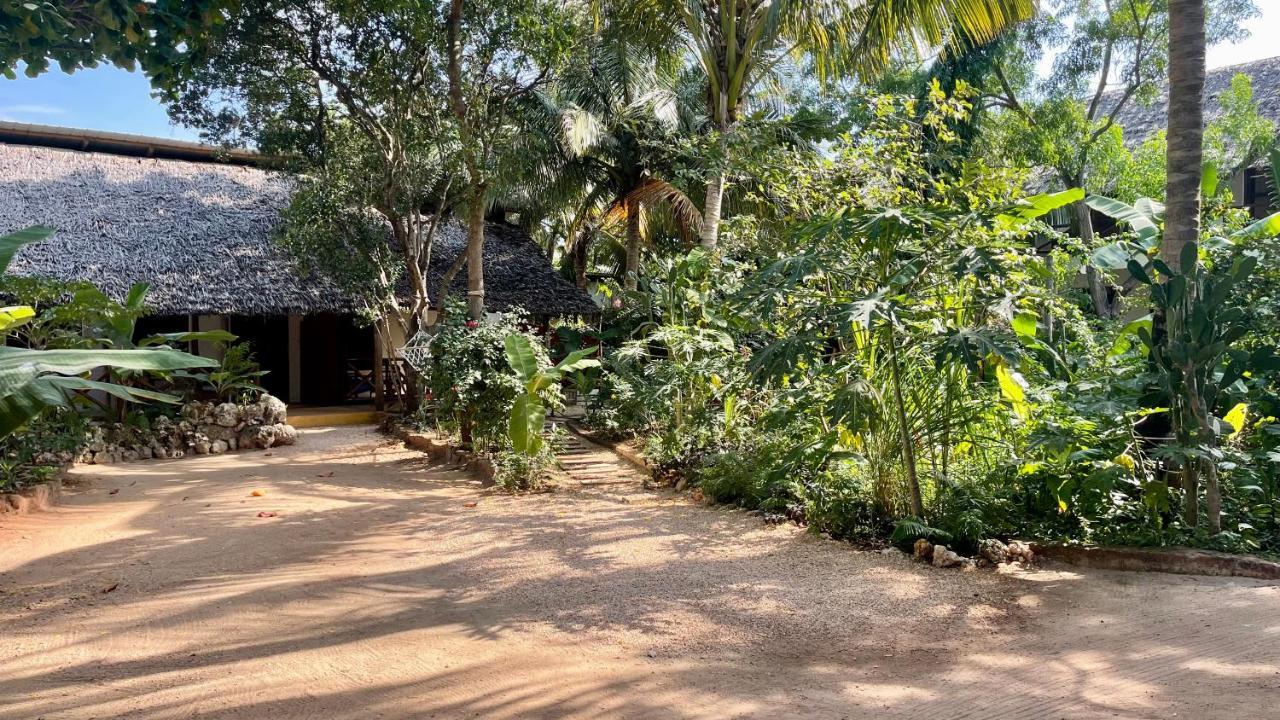 Atii Garden Bungalows Nungwi Exterior photo