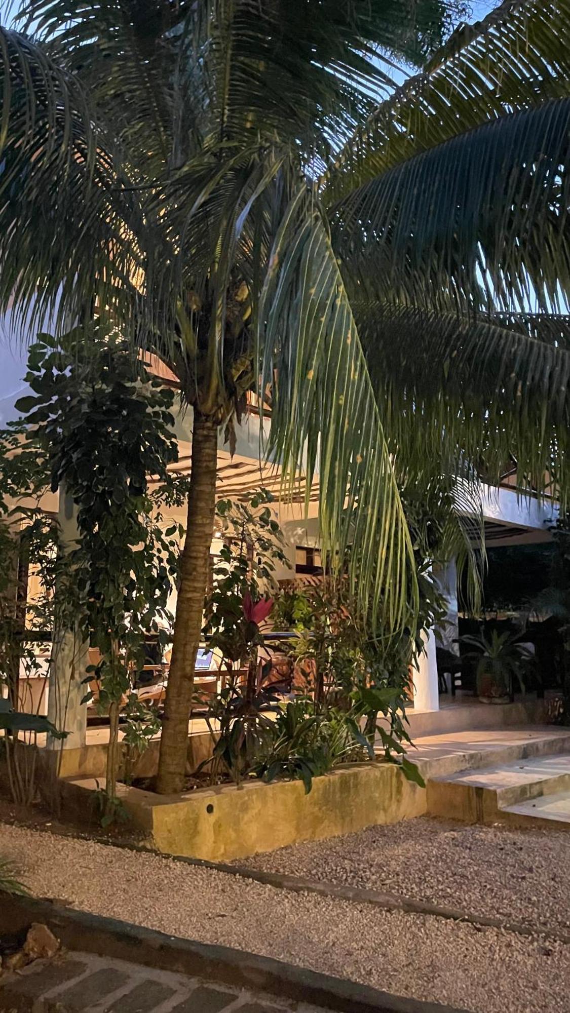 Atii Garden Bungalows Nungwi Exterior photo