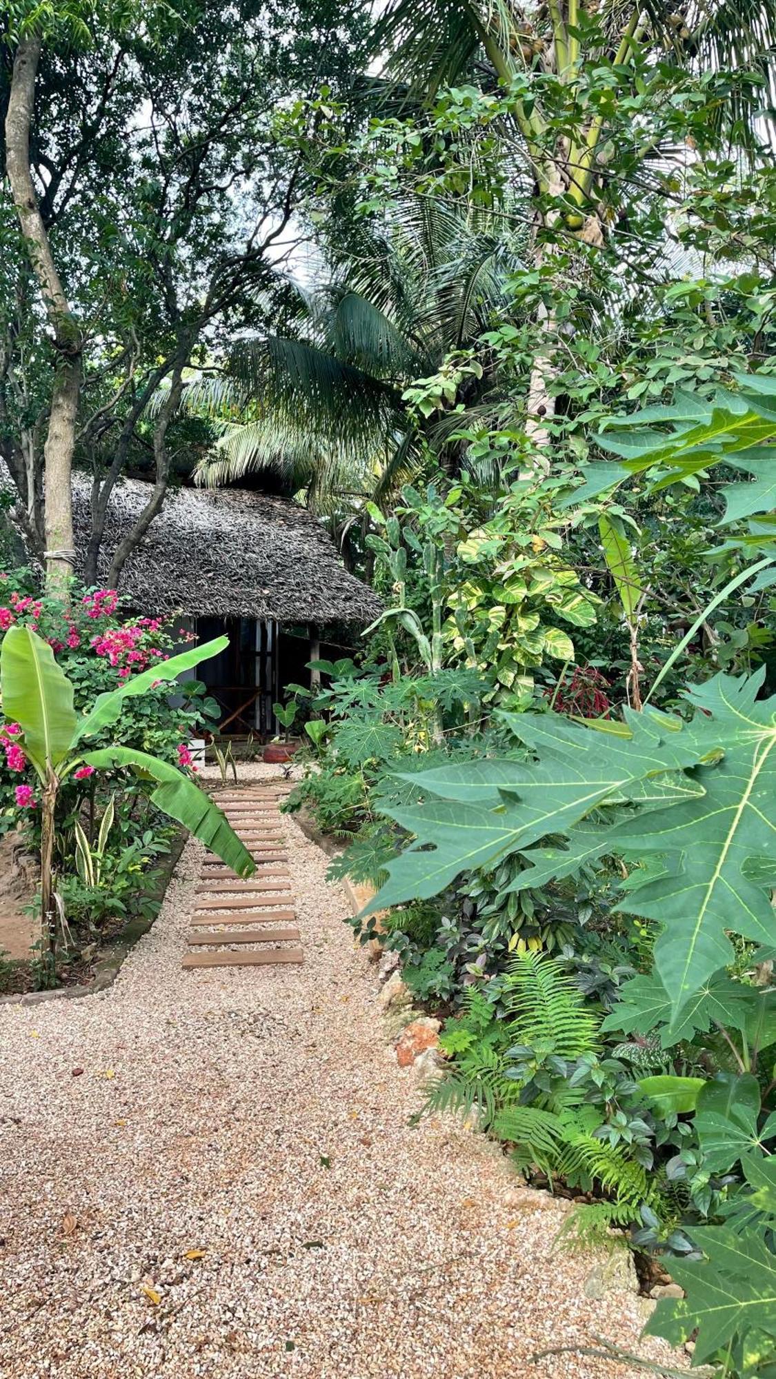 Atii Garden Bungalows Nungwi Exterior photo